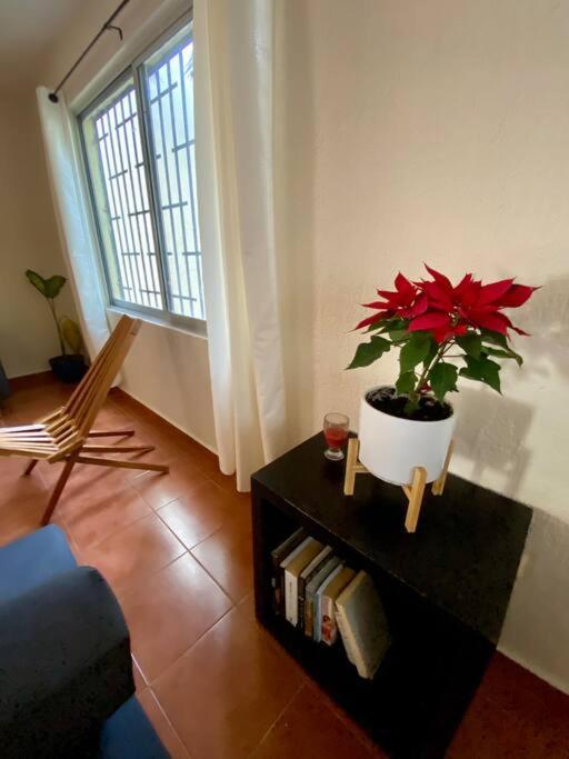Peach35 Apartamento Centrico, 5 Min De La Playa Cancún Esterno foto